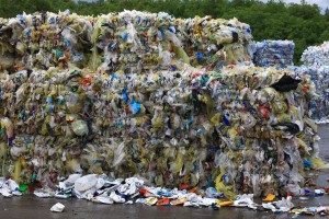 Journée Mondiale de l'Environnement !